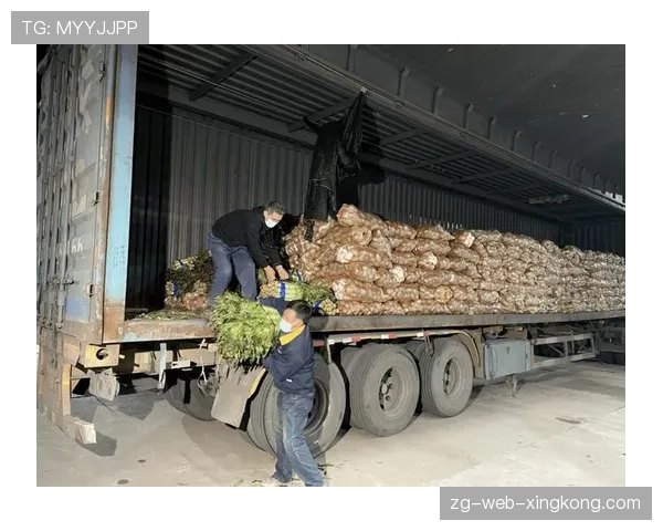 球迷区官方医务站突发药物短缺应急补给方案,抢救药品存在的问题及原因分析